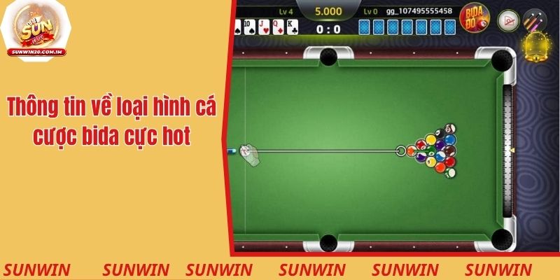 Cá Cược Bida - Luật Chơi Và Bí Quyết Bất Bại Từ Chuyên Gia 1 Thông tin về loại hình cá cược bida cực hot
