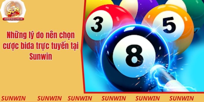 Cá Cược Bida - Luật Chơi Và Bí Quyết Bất Bại Từ Chuyên Gia 4 Những lý do nên chọn cược bida trực tuyến tại Sunwin