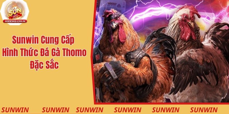 Sunwin cung cấp hình thức đá gà Thomo siêu đặc sắc