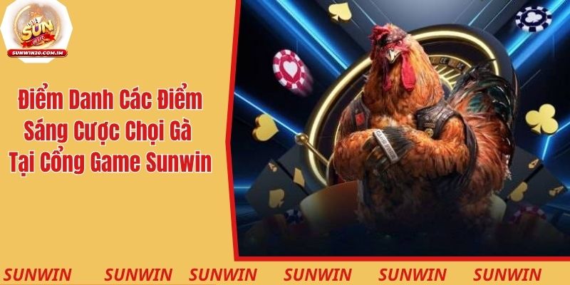 Điểm danh các điểm sáng cược chọi gà tại cổng game Sunwin