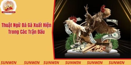 Thuật ngữ đá gà