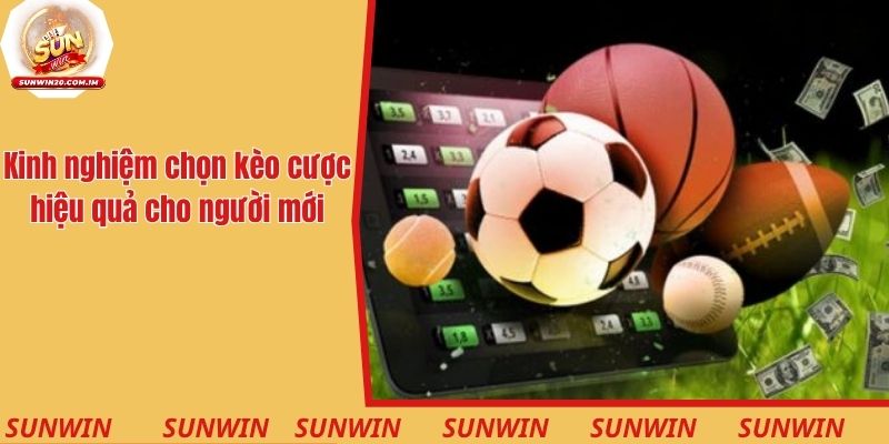 Tỷ Lệ Cá Cược Bóng Đá Sunwin - Cẩm Nang Phân Tích Hiệu Quả 3 Kinh nghiệm chọn kèo cược hiệu quả cho người chơi mới